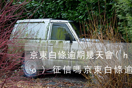 京東白條逾期幾天會(huì)上報(bào)征信嗎 京東白條逾期幾天會(huì)上征信嗎?