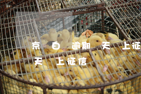 京東白條逾期幾天會上征信(京東白條逾期幾天會上征信)