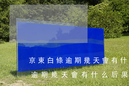 京東白條逾期幾天會有什么后果?-京東白條逾期幾天會有什么后果嗎