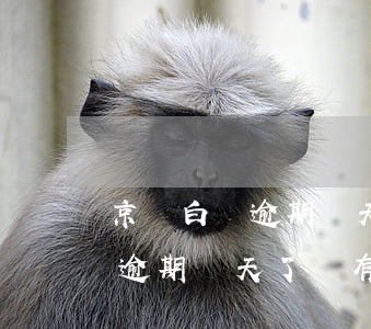 京東白條逾期幾天有什么影響嗎-京東白條逾期幾天了會有什么后果