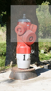 京東白條逾期幾天給本人打電話-京東白條逾期幾天給本人打電話催收