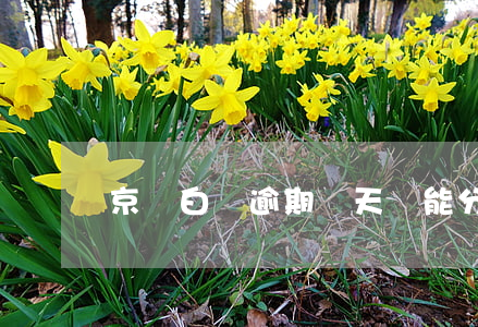 京東白條逾期幾天還能分期嗎