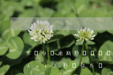 京東白條逾期影響參軍嗎（京東白條逾期會(huì)影響征兵嗎）