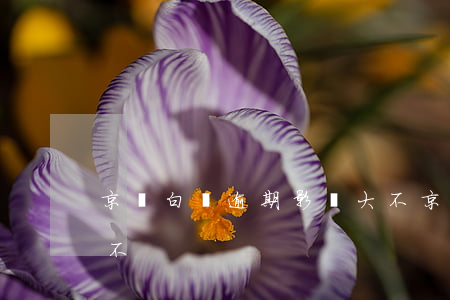 京東白條逾期影響大不(京東白條逾期影響大不)