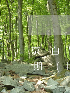 京東白條逾期影響銀行入職嗎-京東白條逾期會(huì)影響銀行卡嗎