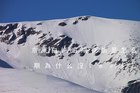 京東白條逾期征信是怎么顯示 京東白條有逾期為什么沒(méi)顯示在個(gè)人征信里