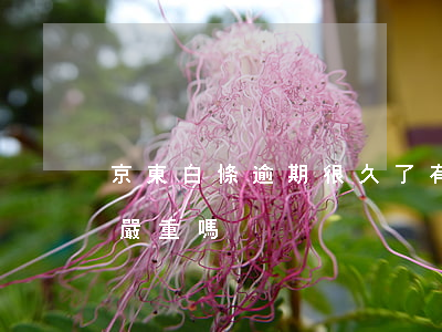 京東白條逾期很久了有事嗎(京東白條逾期了嚴重嗎)