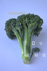 京東白條逾期律師函是怎么寄的-京東白條逾期收到律師函不還多久會(huì)被起訴