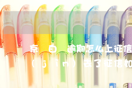 京東白條逾期怎么上征信(京東白條的逾期進(jìn)去了征信,如何消除)