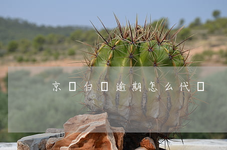 京東白條逾期怎么代還