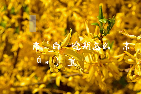 京東白條逾期怎么樣(京東白條逾期了嚴(yán)重嗎)