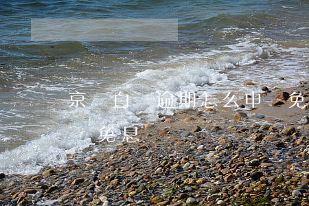 京東白條逾期怎么申請免息(京東白條可以申請免息嗎)
