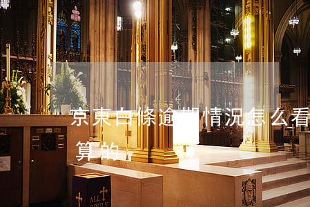 京東白條逾期情況怎么看（京東白條逾期怎么算的）