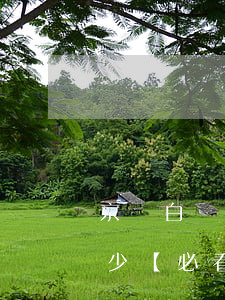 京東白條逾期手續(xù)費(fèi)多少，【必看】京東白條逾期手續(xù)費(fèi)是多少？全解析！