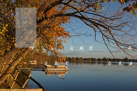 京東白條逾期打電話說今天必須還-京東白條逾期打電話說今天必須還款