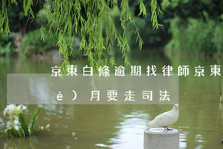 京東白條逾期找律師(京東白條逾期1個(gè)月要走司法)