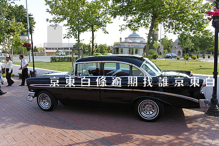 京東白條逾期找誰 京東白條不小心逾期了