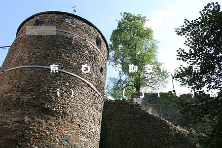 京東白條逾期支付寶(京東白條逾期會(huì)凍結(jié)微信和支付寶)