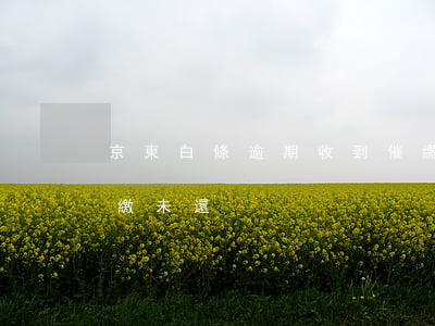 京東白條逾期收到催繳通知(京東白條多次催繳未還)