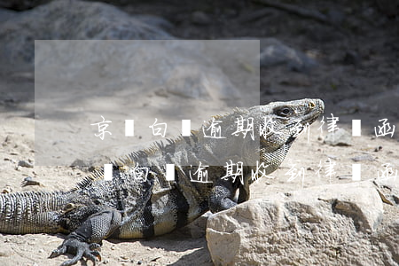 京東白條逾期收到律師函多久會被起訴-京東白條逾期收到律師函多久會被起訴