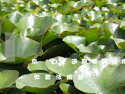 京東白條逾期收到法院判決書(京東白條惡意欠款法院起訴)