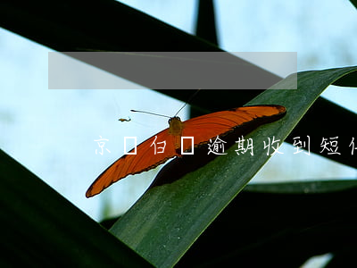 京東白條逾期收到短信報(bào)警