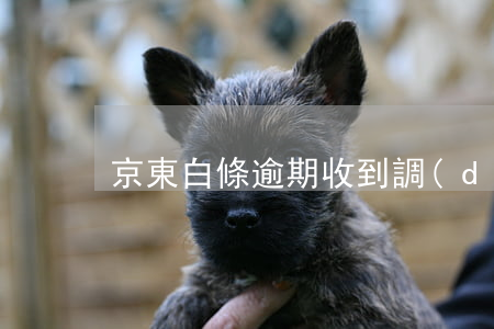 京東白條逾期收到調(diào)解信息