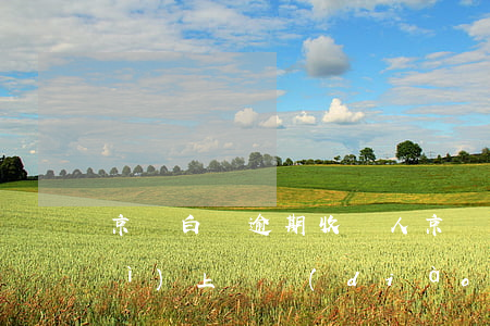 京東白條逾期收貨人 京東白條逾期會(huì)上門調(diào)查