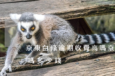 京東白條逾期收費高嗎(京東白條逾期收費高嗎多少錢)