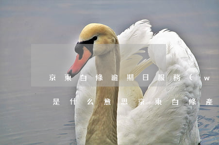 京東白條逾期日服務(wù)費(fèi)是什么意思(京東白條產(chǎn)生日服務(wù)費(fèi))