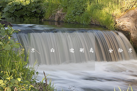 京東白條逾期是還全部(京東白條逾期了怎么還)