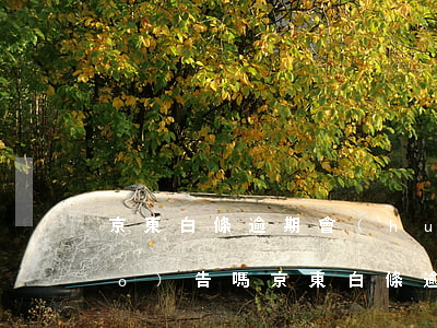 京東白條逾期會(huì)上征信報(bào)告嗎(京東白條逾期沒(méi)上征信報(bào)告)
