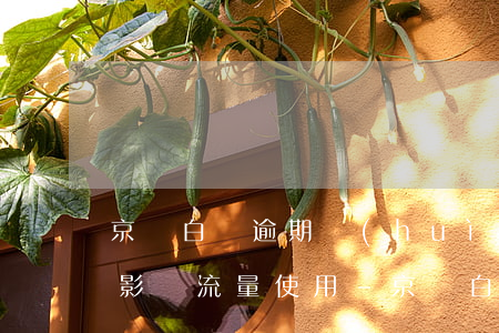 京東白條逾期會(huì)不會(huì)影響流量使用-京東白條逾期會(huì)不會(huì)影響流量使用呢