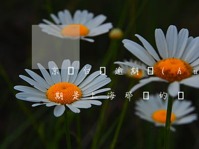 京東白條逾期會(huì)咋樣（京東白條逾期是上海那邊的嗎）