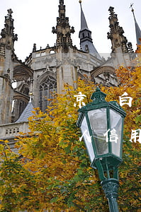 京東白條逾期會(huì)影響個(gè)人信用卡嗎-京東白條逾期影響銀行貸款嗎