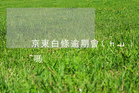 京東白條逾期會(huì)影響到銀行征信嗎