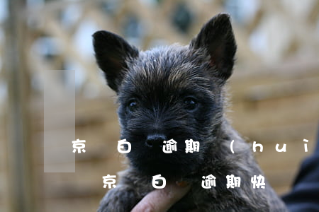 京東白條逾期會(huì)影響妹妹考工作嗎(京東白條逾期快遞員知道嗎)