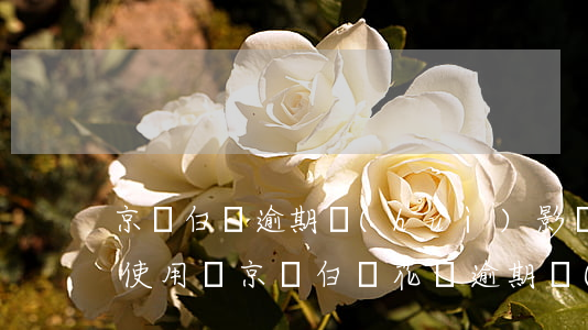 京東白條逾期會(huì)影響螞蟻借唄的使用嗎?（京東白條花唄逾期會(huì)怎么樣）
