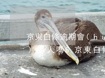 京東白條逾期會(huì)打聯(lián)系人嗎6 京東白條逾期會(huì)打聯(lián)系人嗎?