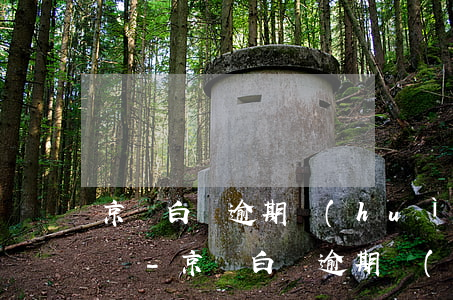 京東白條逾期會(huì)扣京東錢包的錢嗎-京東白條逾期會(huì)扣京東錢包的錢嗎安全嗎