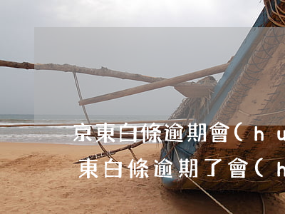 京東白條逾期會(huì)收到什么信息(京東白條逾期了會(huì)怎樣)