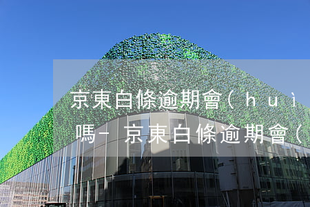 京東白條逾期會(huì)給你寄法院傳票嗎-京東白條逾期會(huì)給你寄法院傳票嗎是真的嗎