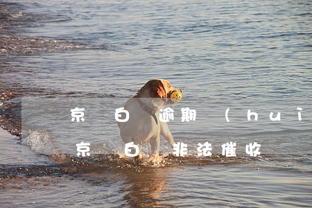 京東白條逾期會(huì)被惡意催收嗎-京東白條非法催收