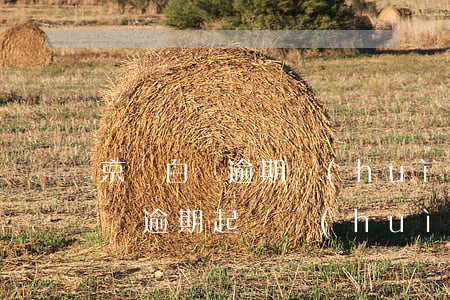 京東白條逾期會(huì)被起訴嘛(京東白條逾期起訴會(huì)怎樣)