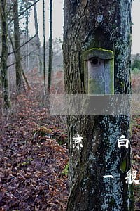 京東白條逾期會(huì)被逮捕嗎(京東白條一般逾期多久會(huì)起訴)
