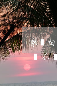 京東白條逾期會不會真的上門 京東白條逾期會不會真的上門