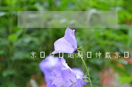 京東白條逾期會仲裁(京東白條逾期會仲裁)