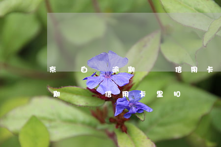 京東白條逾期會從信用卡里扣嗎 京東白條逾期會從信用卡里扣嗎
