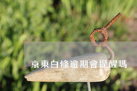 京東白條逾期會提醒嗎