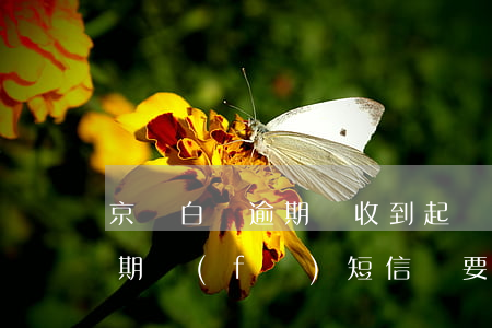 京東白條逾期會收到起訴書嗎-京東白條逾期發(fā)短信說要起訴我是真的嗎